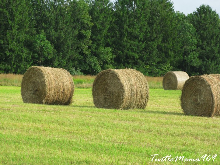 ThreeHaystacks