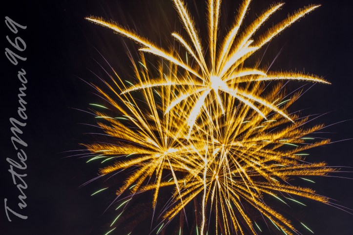 20160705-20160705-IMG_4173