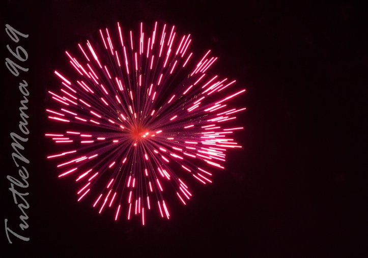 20160705-20160705-IMG_4182