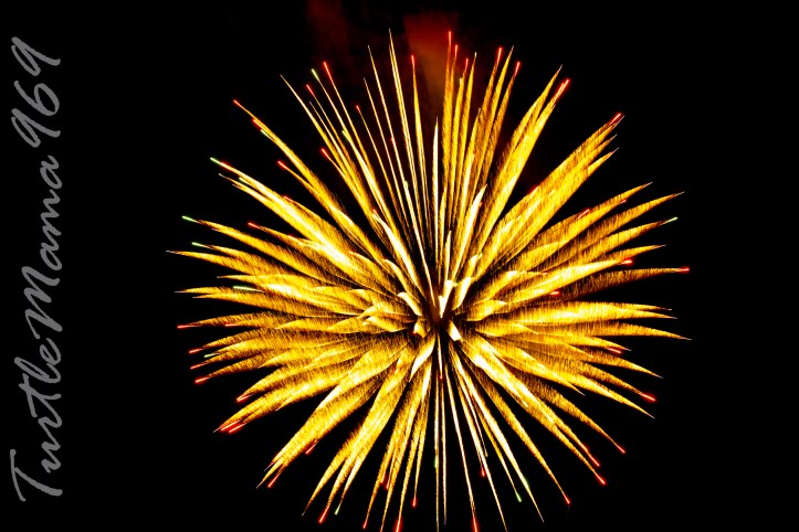 20160705-20160705-IMG_4259